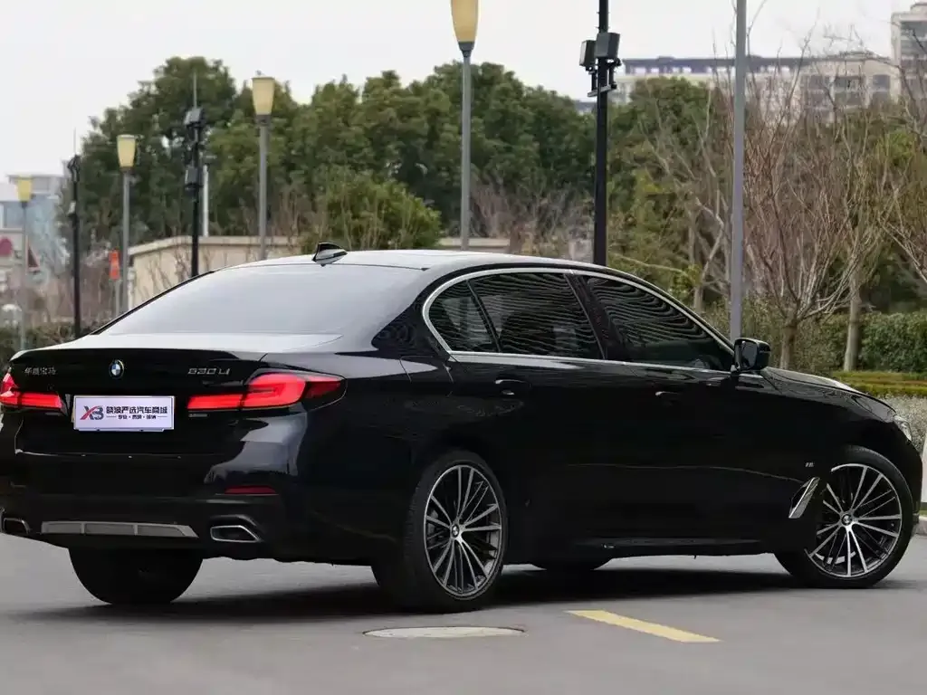 BMW 5 Series 2021 из CN, фото 7
