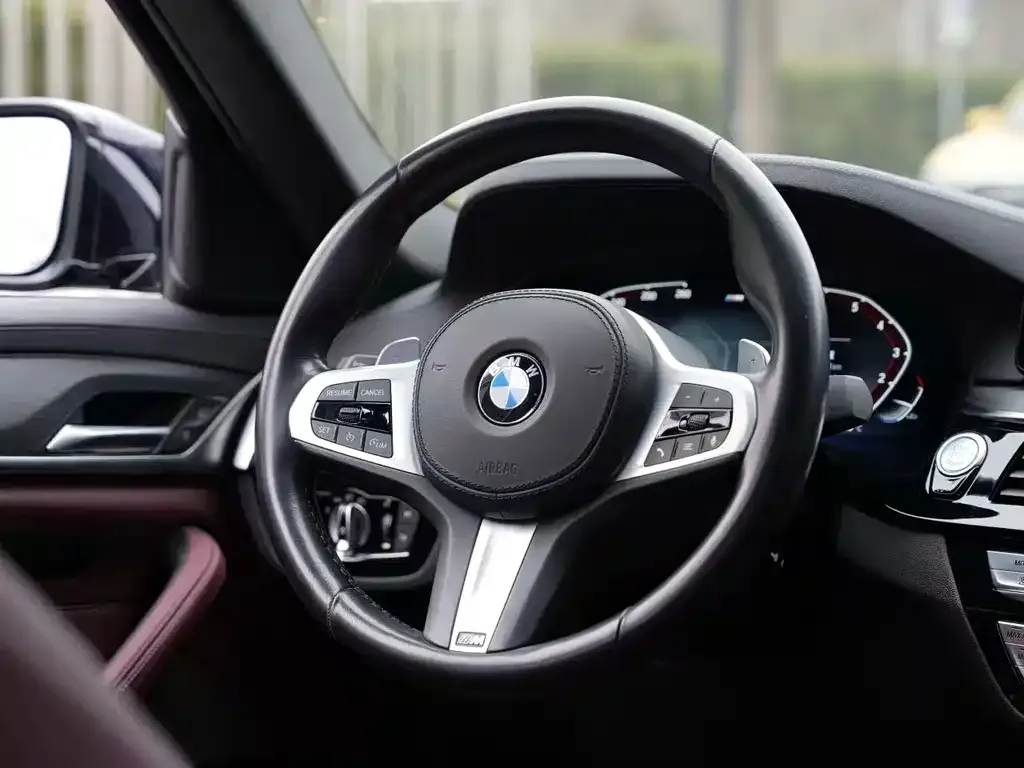 BMW 5 Series 2021 из CN, фото 9
