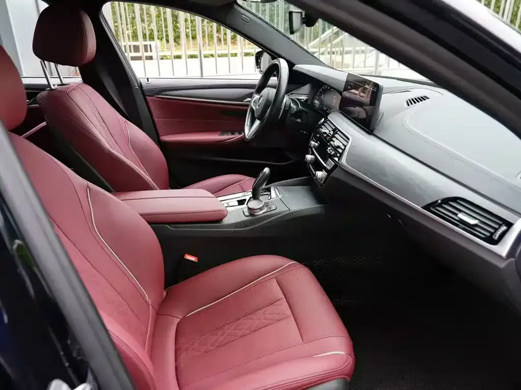 BMW 5 Series 2021 из CN, фото 4