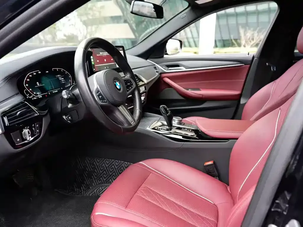 BMW 5 Series 2021 из CN, фото 10