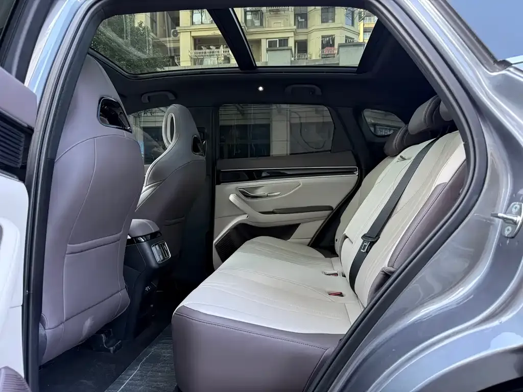BYD PLUS New Energy 2025 из CN, фото 9