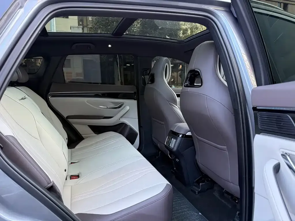 BYD PLUS New Energy 2025 из CN, фото 4