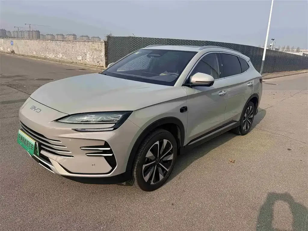 BYD PLUS New Energy 2025 из CN, фото 1