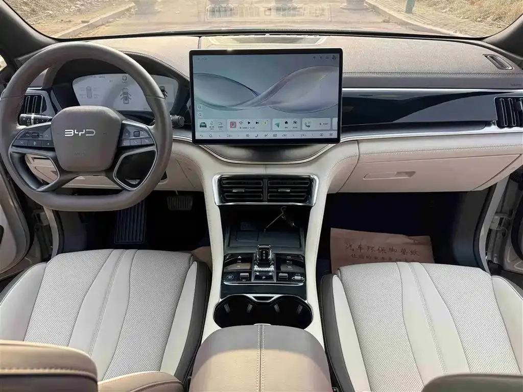 BYD PLUS New Energy 2025 из CN, фото 7