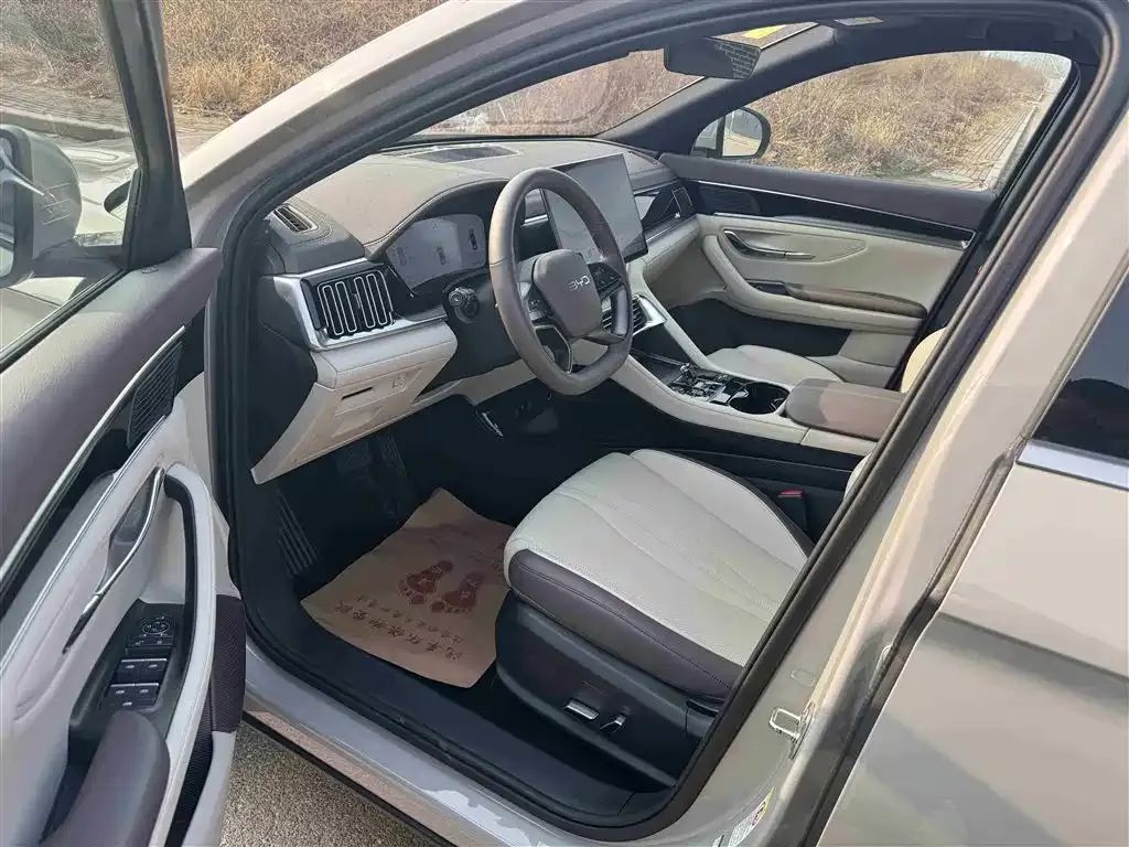 BYD PLUS New Energy 2025 из CN, фото 4