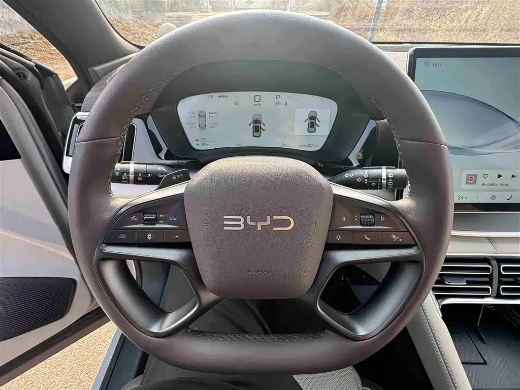 BYD PLUS New Energy 2025 из CN, фото 9