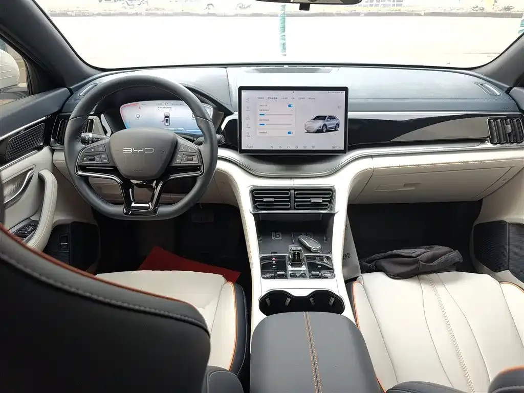 BYD PLUS New Energy — фото 10