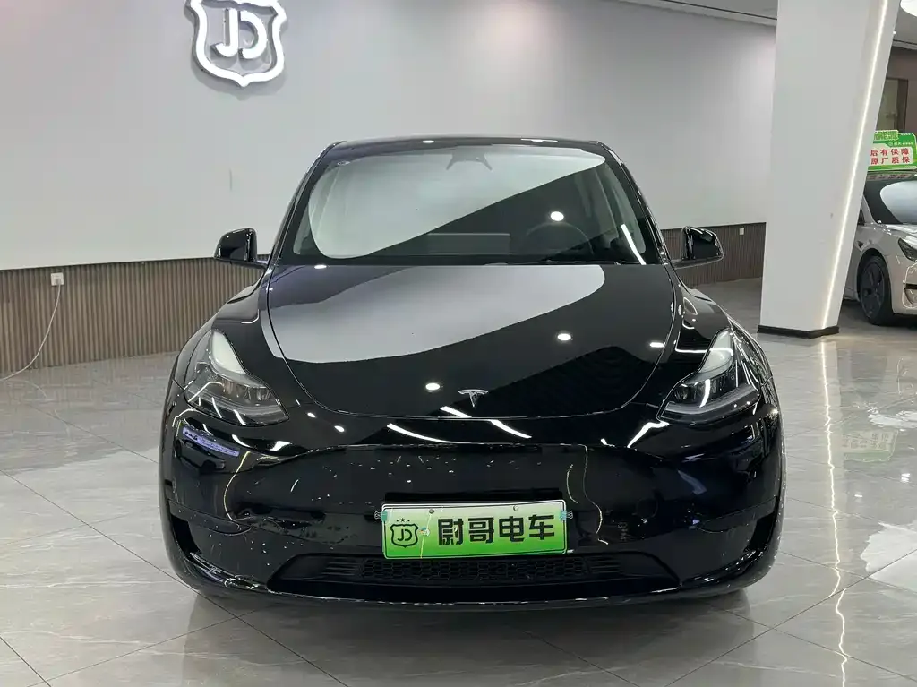 Tesla Model Y — фото 2