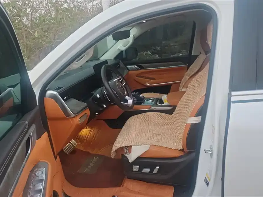 Tank 500 2022 из CN, фото 4