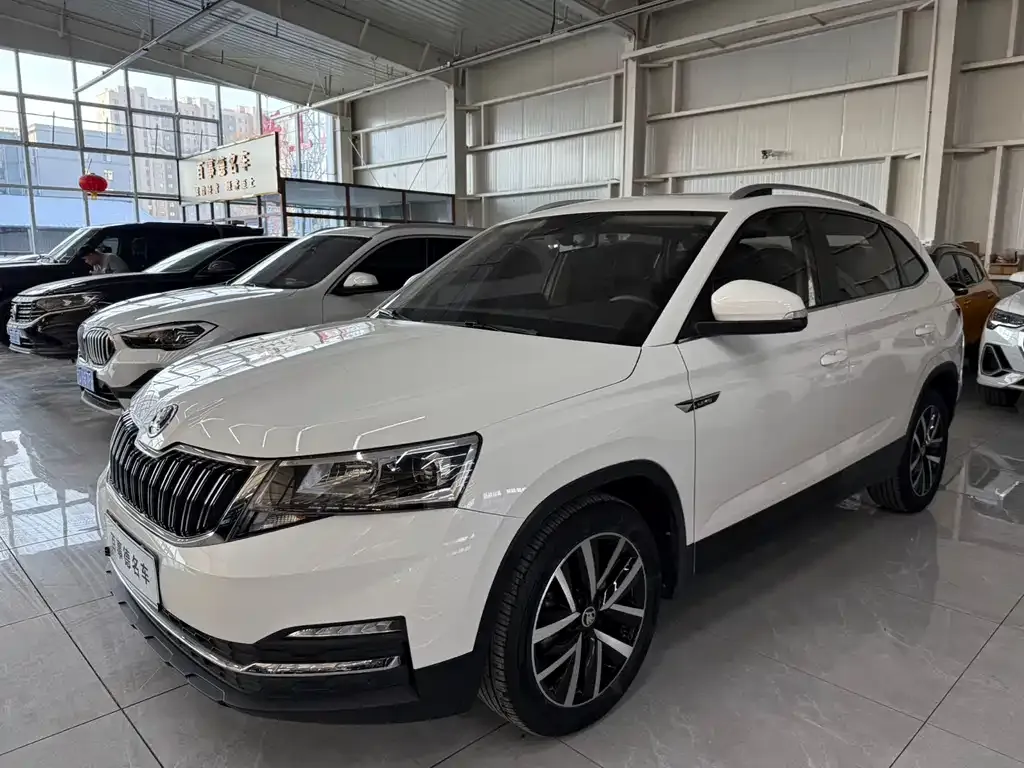 Skoda Kamiq 2022 из CN, фото 1