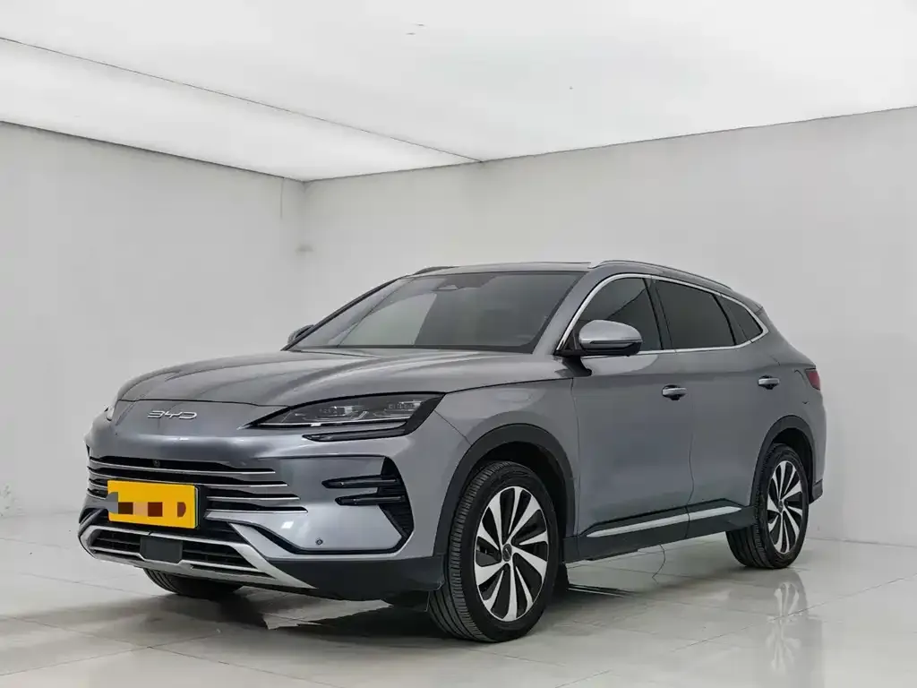 BYD PLUS New Energy — фото 1