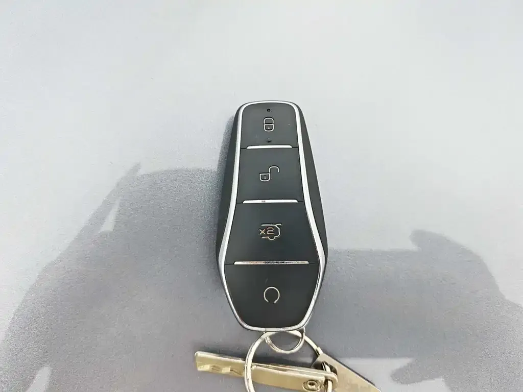 BYD PLUS New Energy — фото 10
