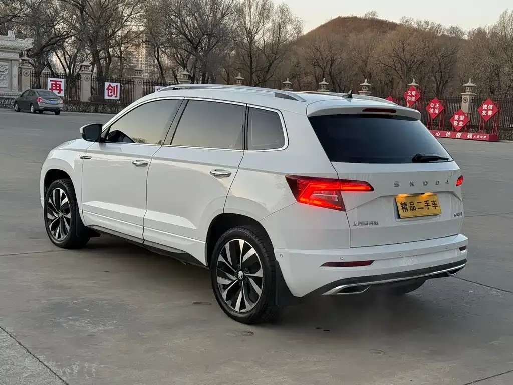 Skoda Karoq — фото 6
