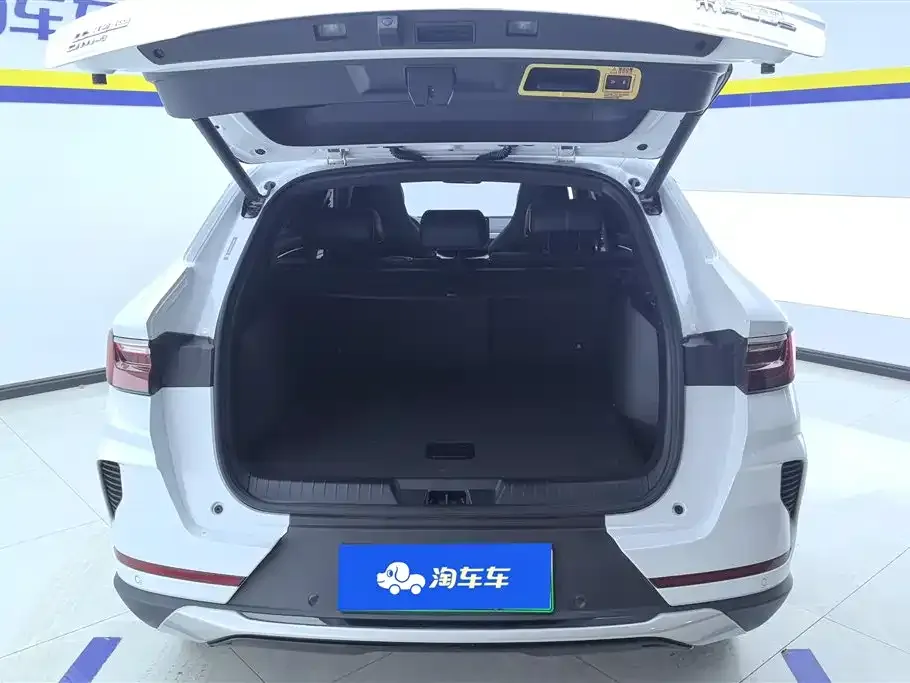 BYD PLUS New Energy — фото 2