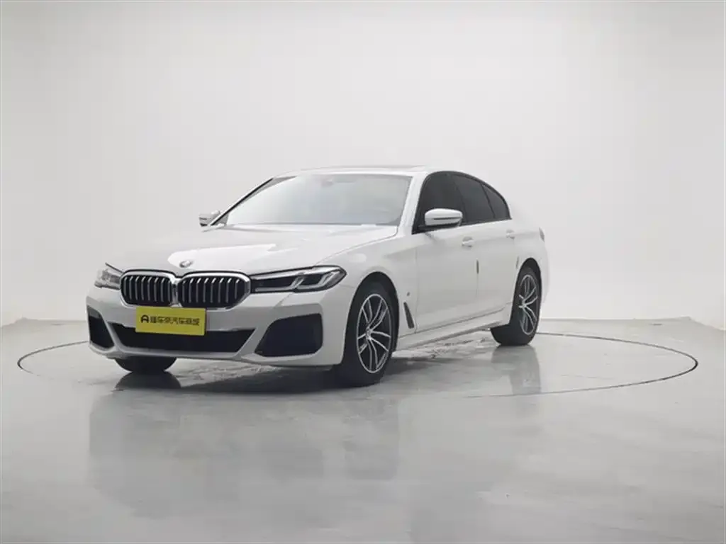 BMW 5 Series (Import) 2023 из CN, фото 1