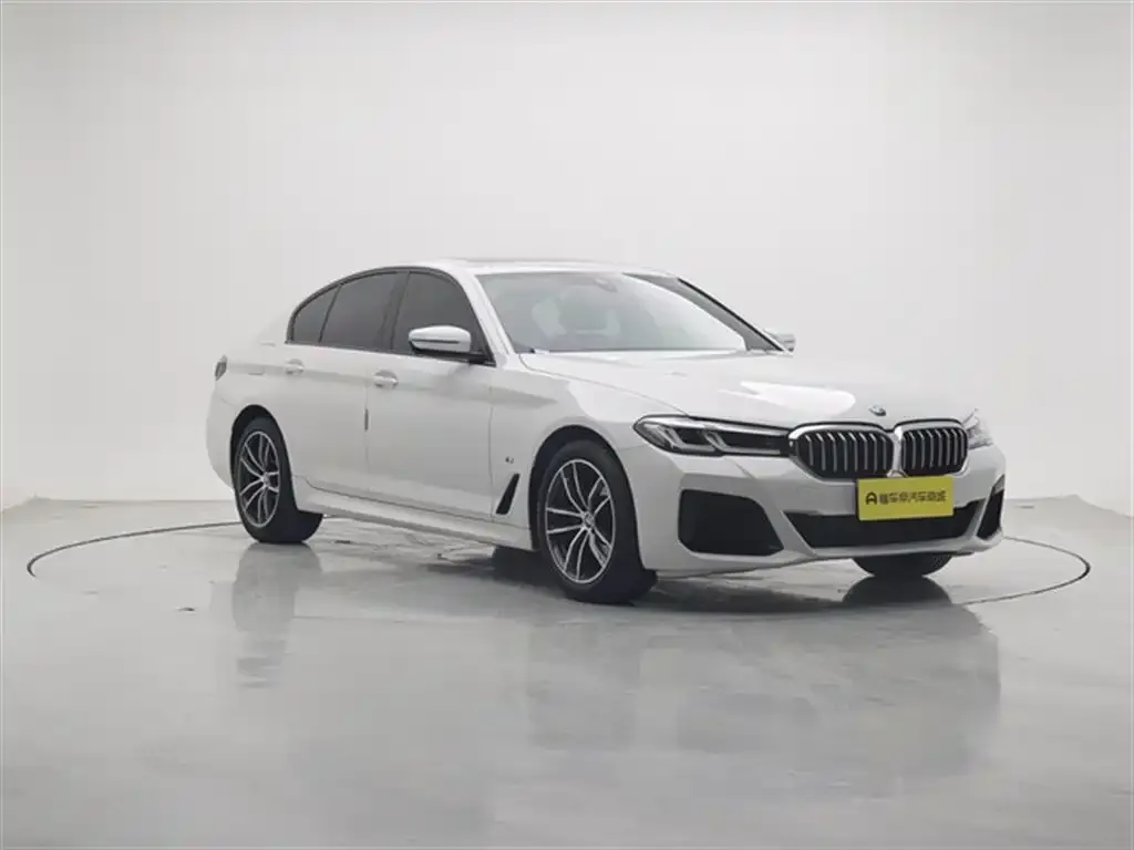 BMW 5 Series (Import) 2023 из CN, фото 8