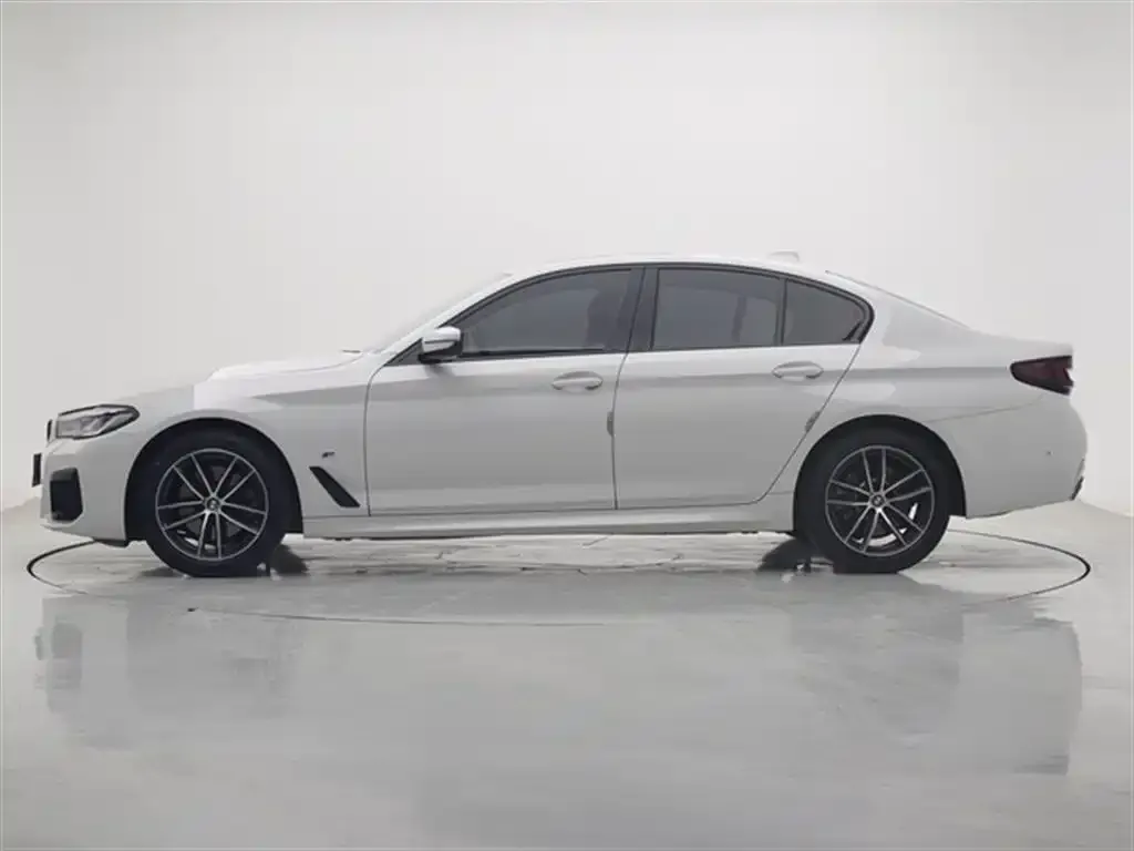 BMW 5 Series (Import) 2023 из CN, фото 6