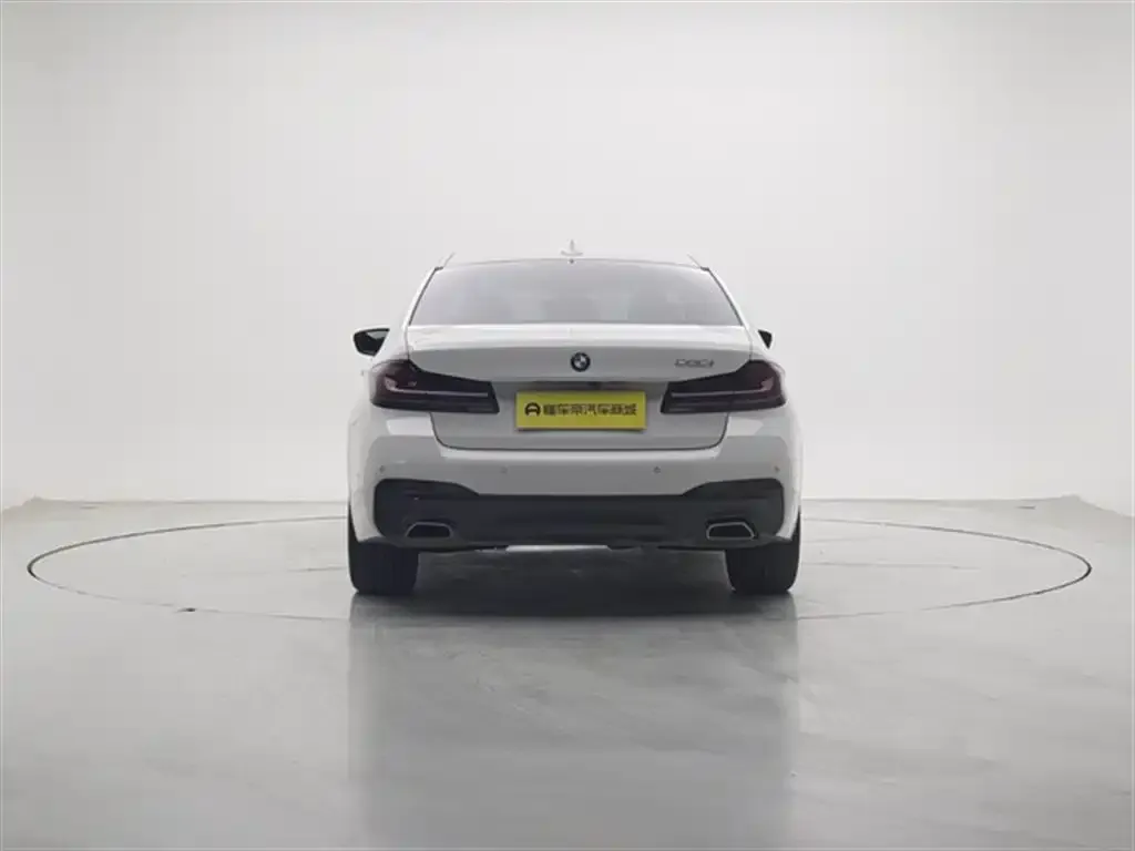 BMW 5 Series (Import) 2023 из CN, фото 10