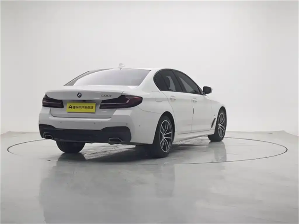 BMW 5 Series (Import) 2023 из CN, фото 7