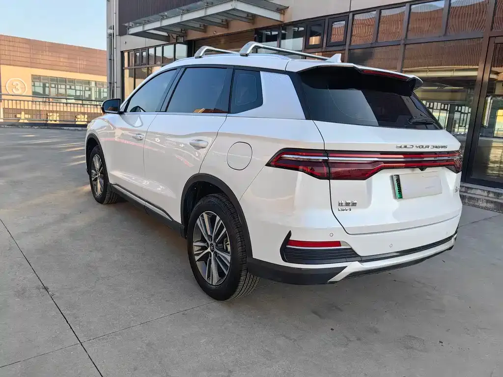 BYD Pro New Energy — фото 4