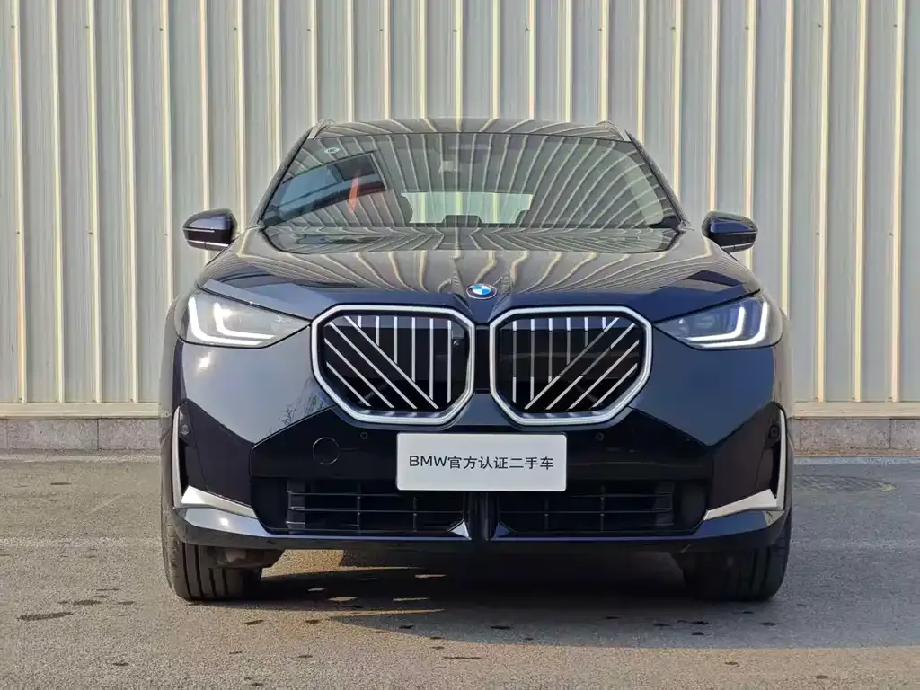 BMW X3 2025 из CN, фото 6