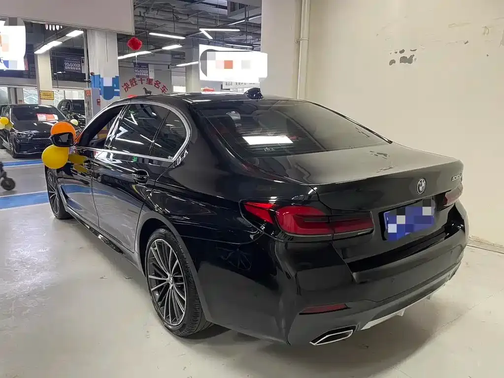 BMW 5 Series 2023 из CN, фото 7