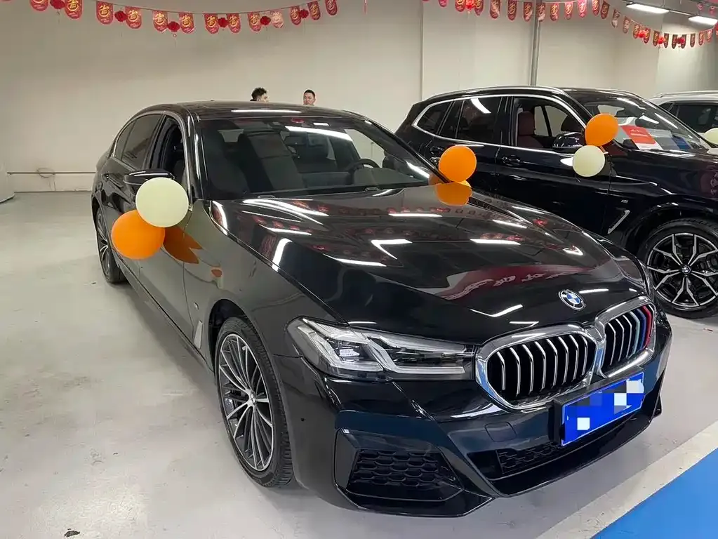 BMW 5 Series 2023 из CN, фото 6