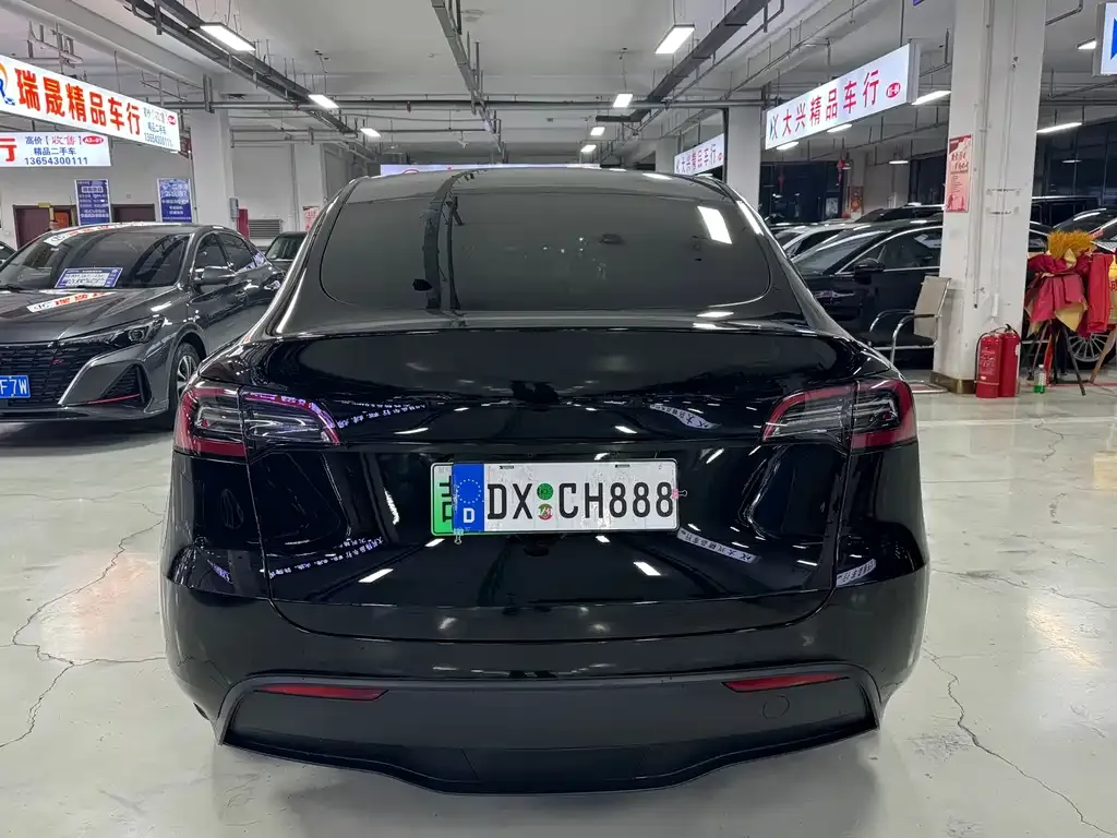 Tesla Model Y 2023 из CN, фото 5