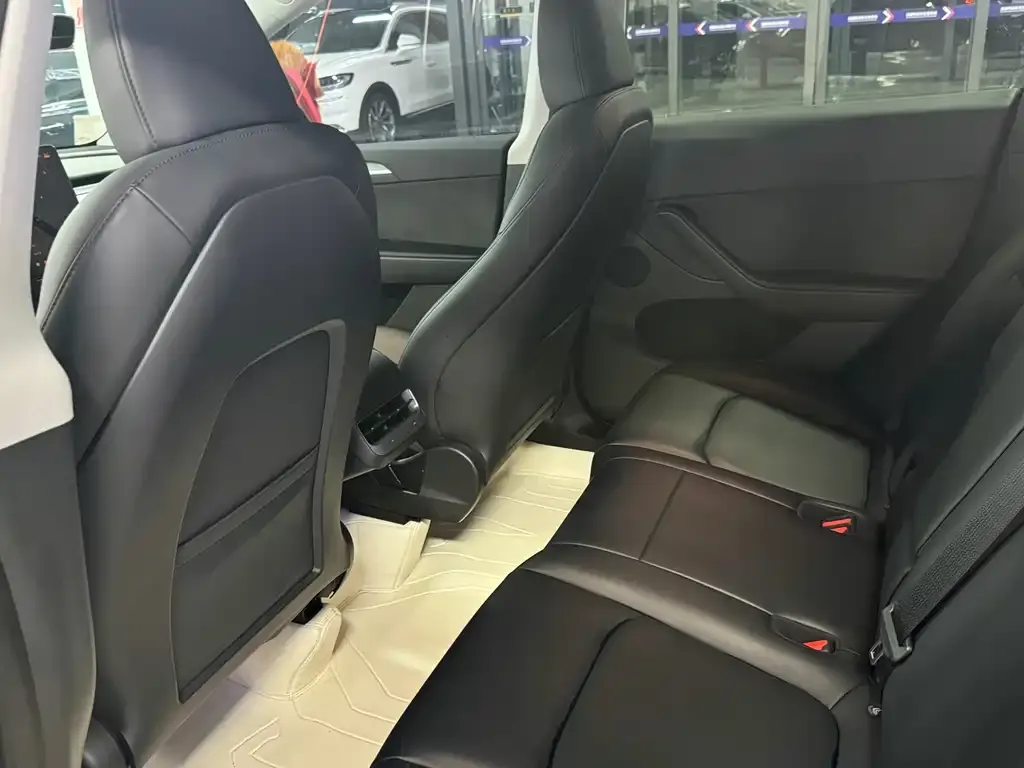 Tesla Model Y 2023 из CN, фото 9