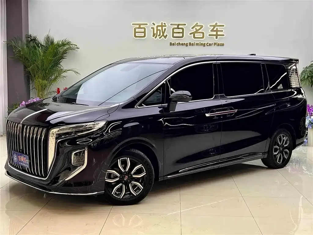 Hongqi HQ9 — фото 8