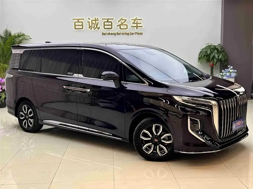 Hongqi HQ9 — фото 9