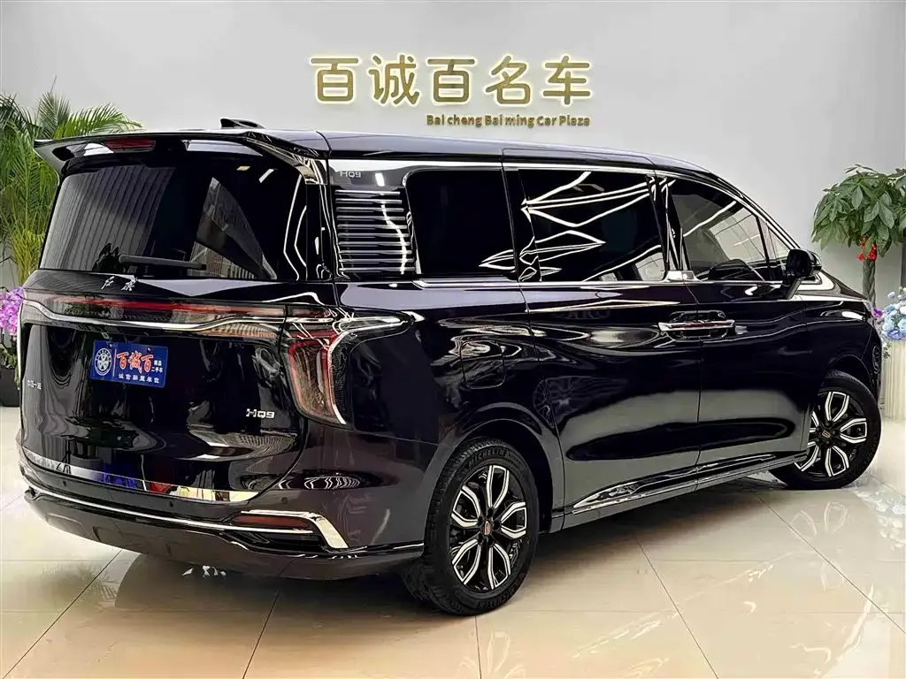Hongqi HQ9 — фото 2