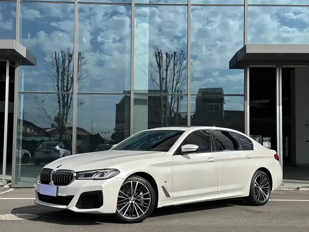 BMW 5 Series 2022 из CN, фото 1