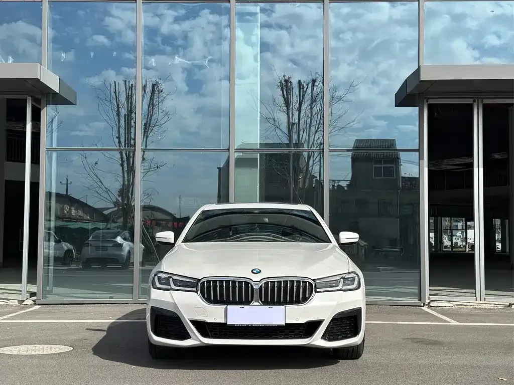 BMW 5 Series 2022 из CN, фото 3