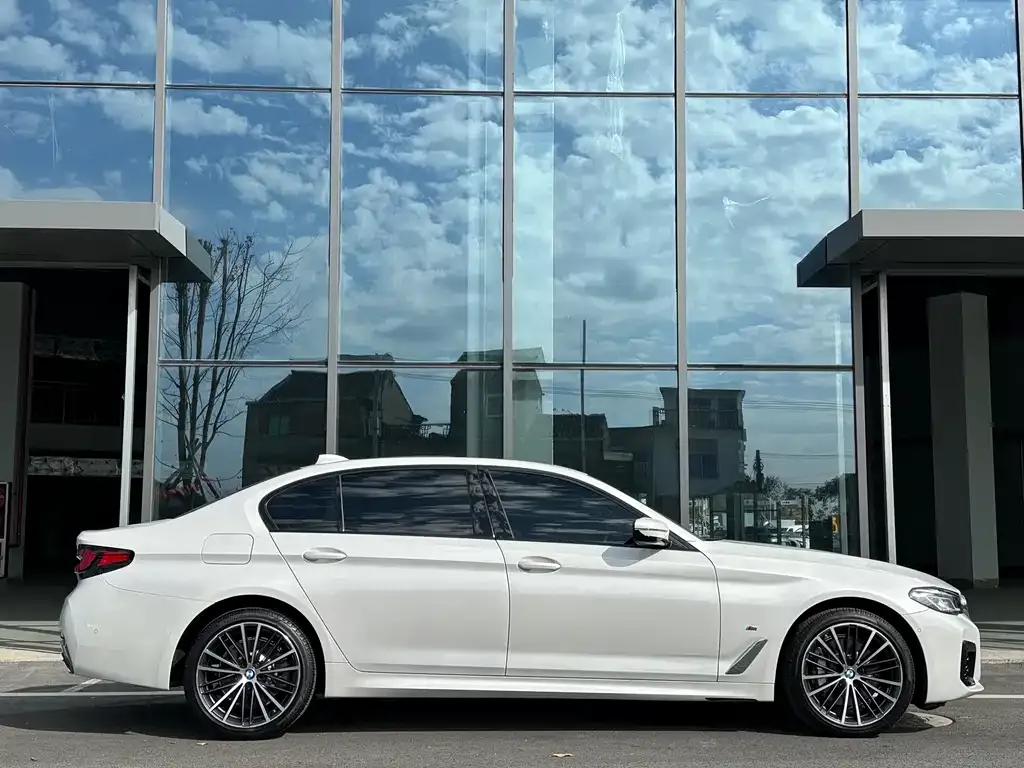 BMW 5 Series 2022 из CN, фото 5