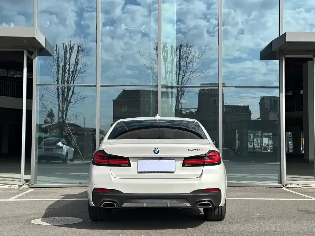 BMW 5 Series 2022 из CN, фото 7