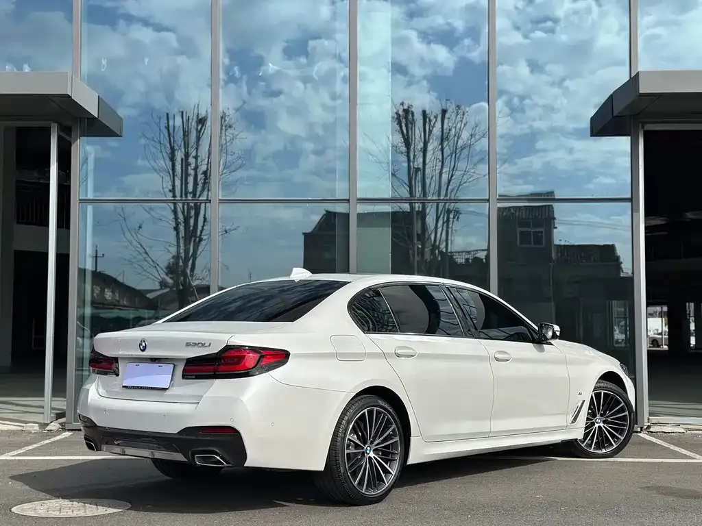 BMW 5 Series 2022 из CN, фото 8