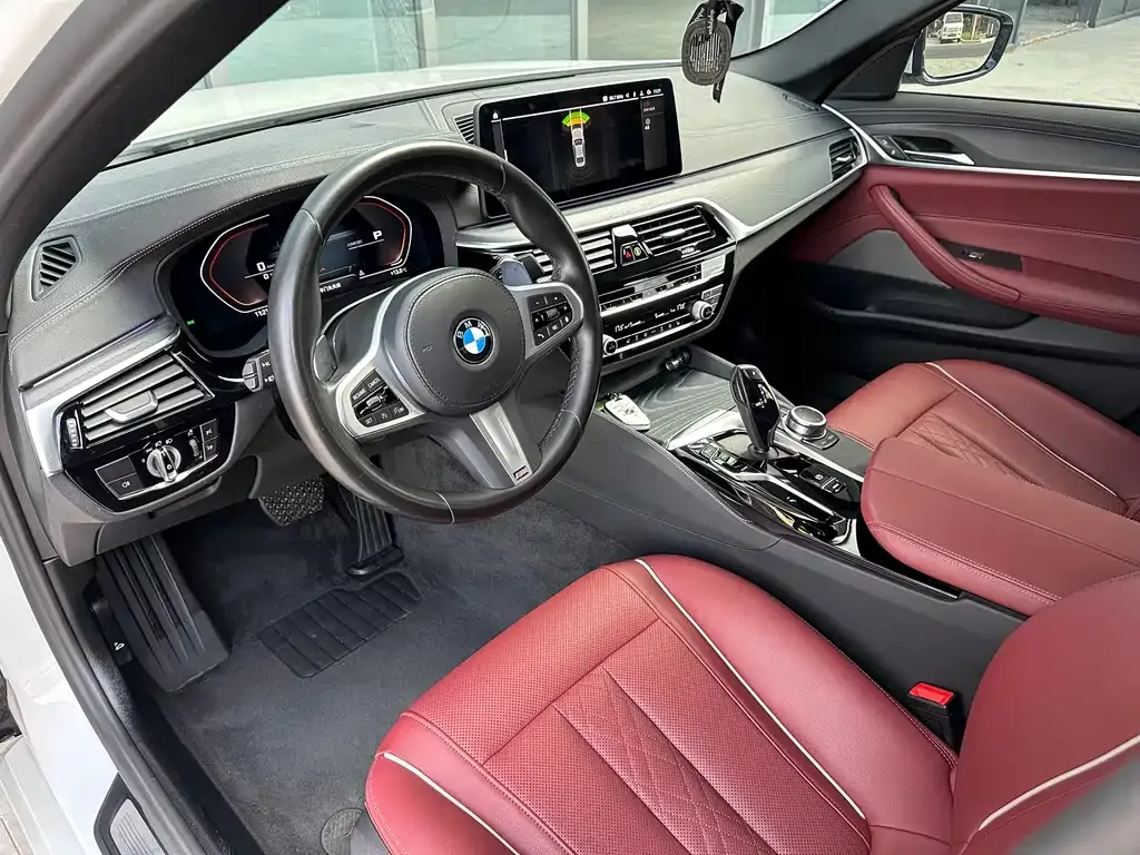BMW 5 Series 2022 из CN, фото 6