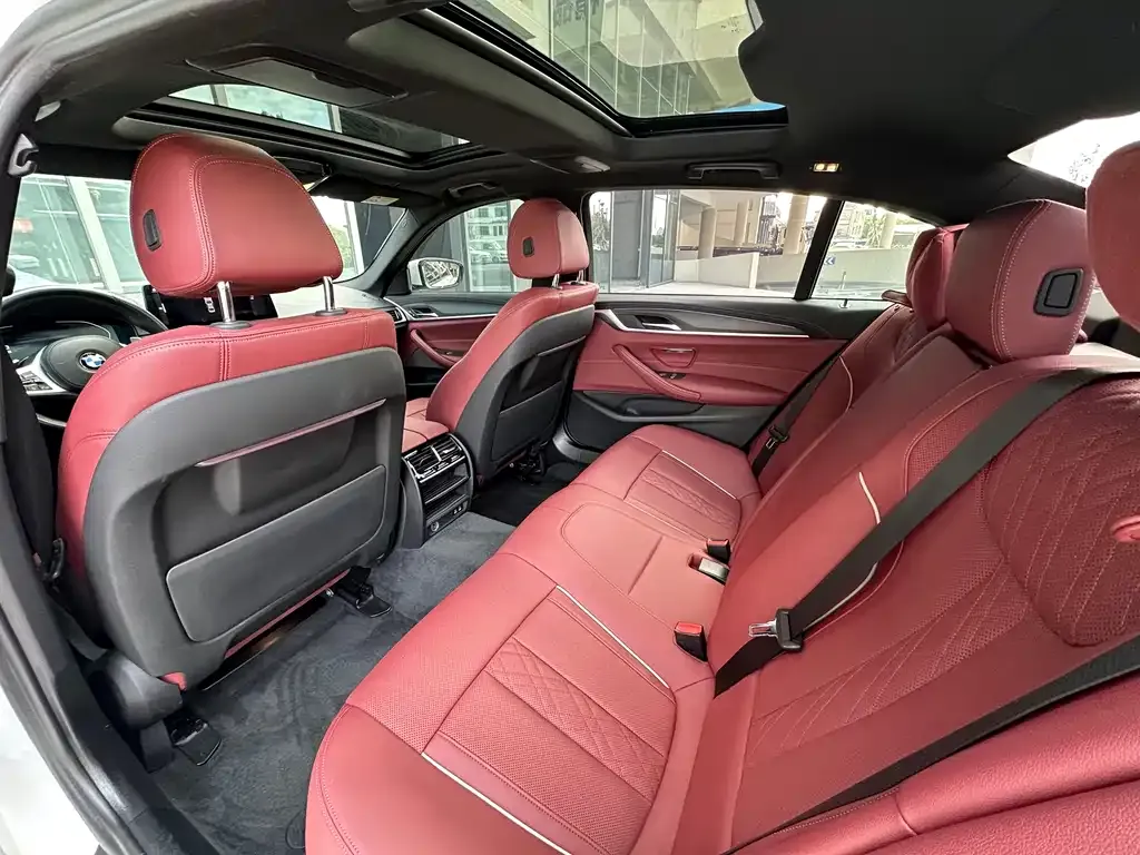 BMW 5 Series 2022 из CN, фото 9