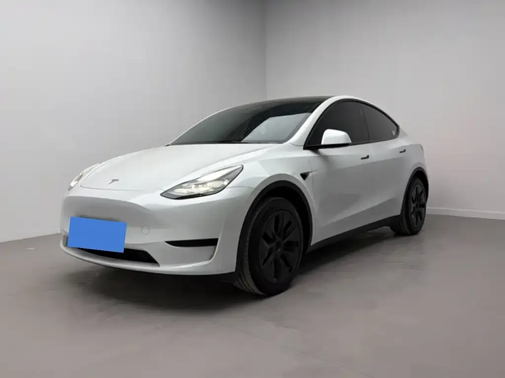 Tesla Model Y 2024 из CN, фото 1