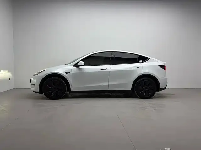 Tesla Model Y 2024 из CN, фото 9