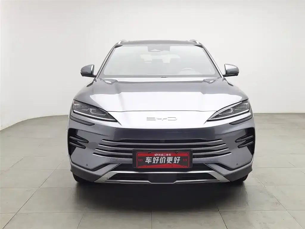 BYD PLUS New Energy 2023 из CN, фото 3