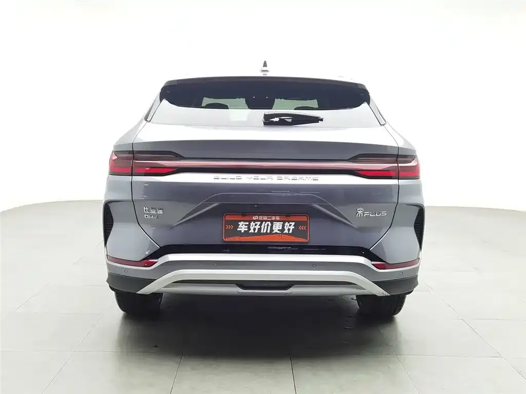 BYD PLUS New Energy 2023 из CN, фото 2