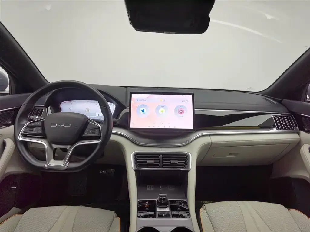 BYD PLUS New Energy 2023 из CN, фото 5