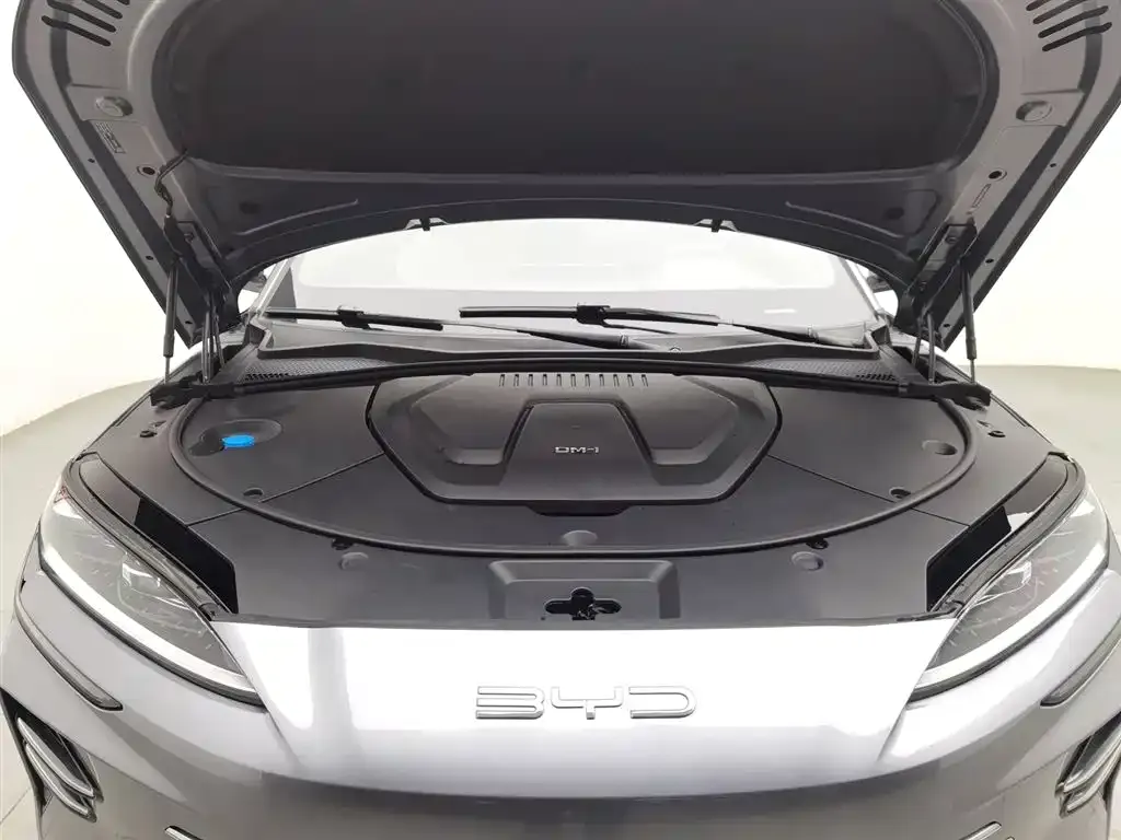 BYD PLUS New Energy 2023 из CN, фото 10
