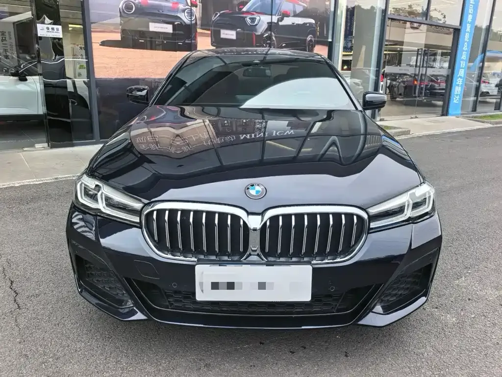 BMW 5 Series 2022 из CN, фото 5