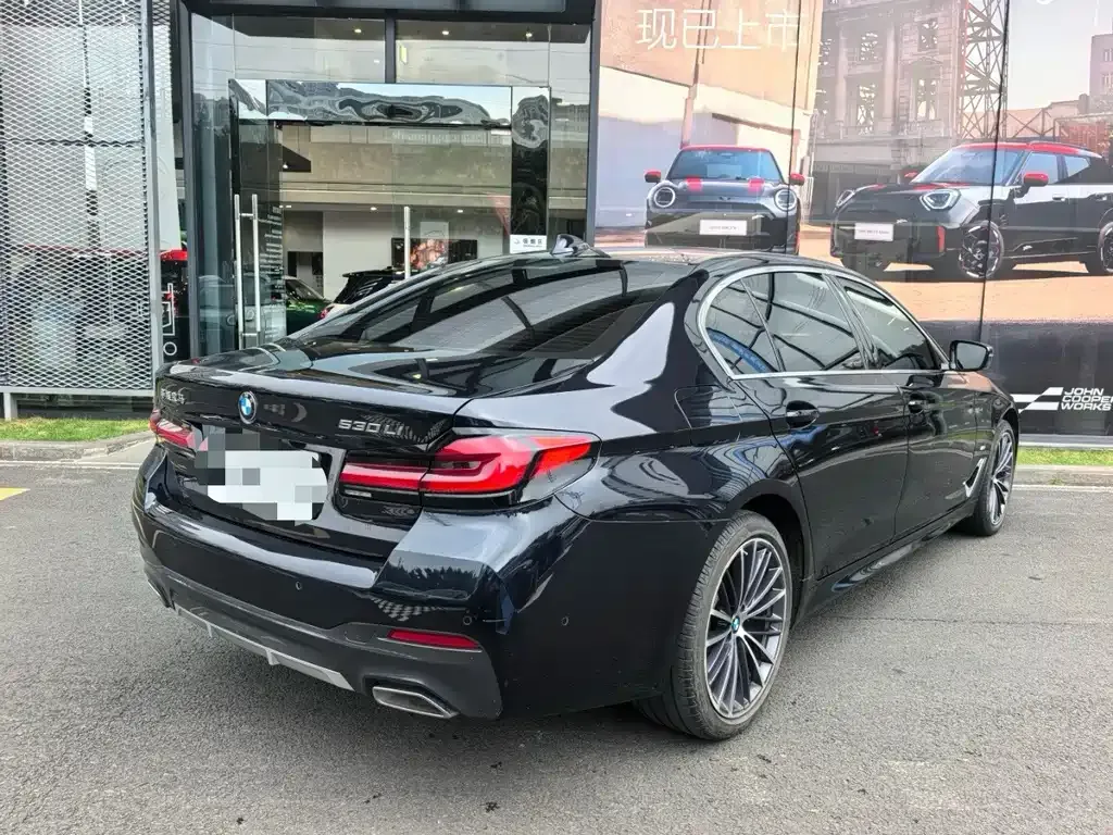 BMW 5 Series 2022 из CN, фото 6