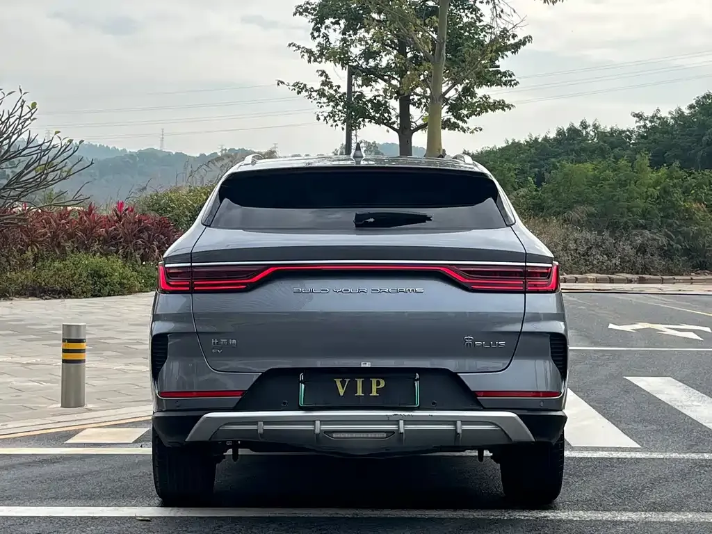 BYD PLUS New Energy — фото 4