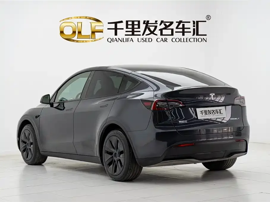 Tesla Model Y 2024 из CN, фото 4