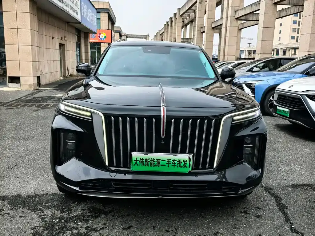 Hongqi E-HS9 — фото 2